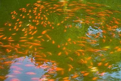 任天堂Switch Online服务在2024年新增游戏数量超过往年