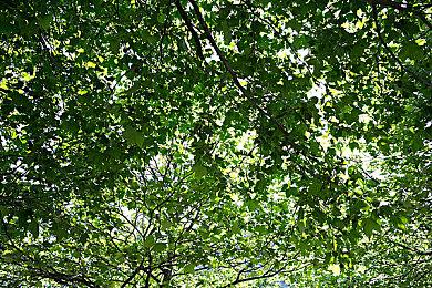 PS3模拟器RPCS3创造者目前正在开发PS4模拟器