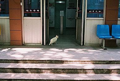 高能电玩节：《Fate＆Samurai Remnant》新游戏片段公开